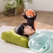 Chiếc gối "ru ngủ" bằng sự dọa nạt của gấu trúc đỏ